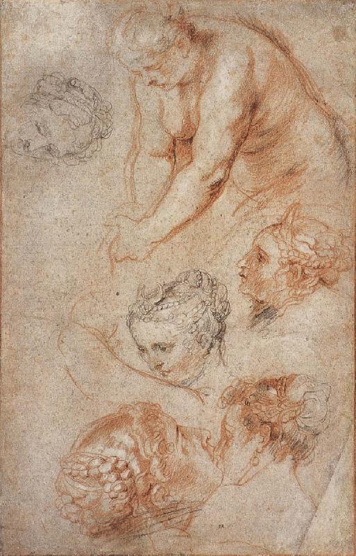 Peter Paul Rubens Woman sketch Sweden oil painting art